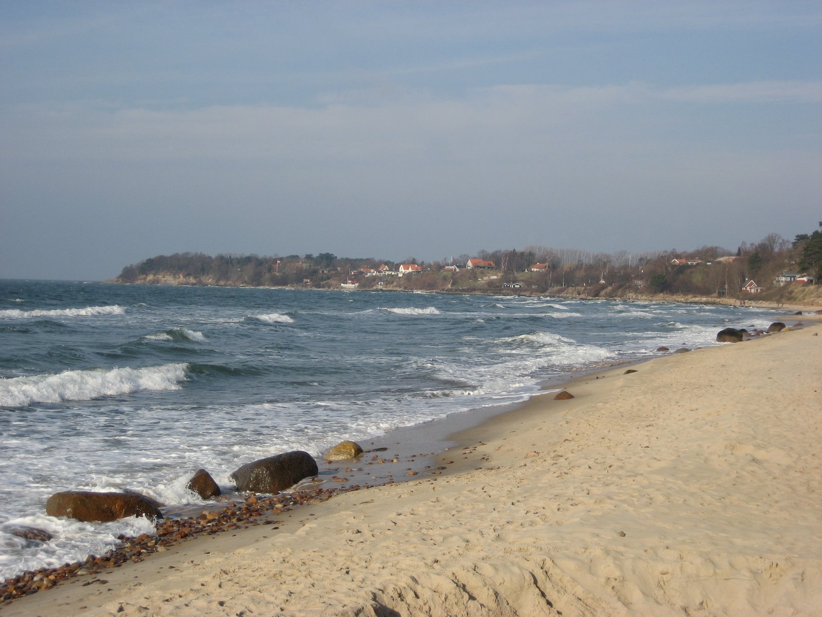 [IMG_0357.JPG]