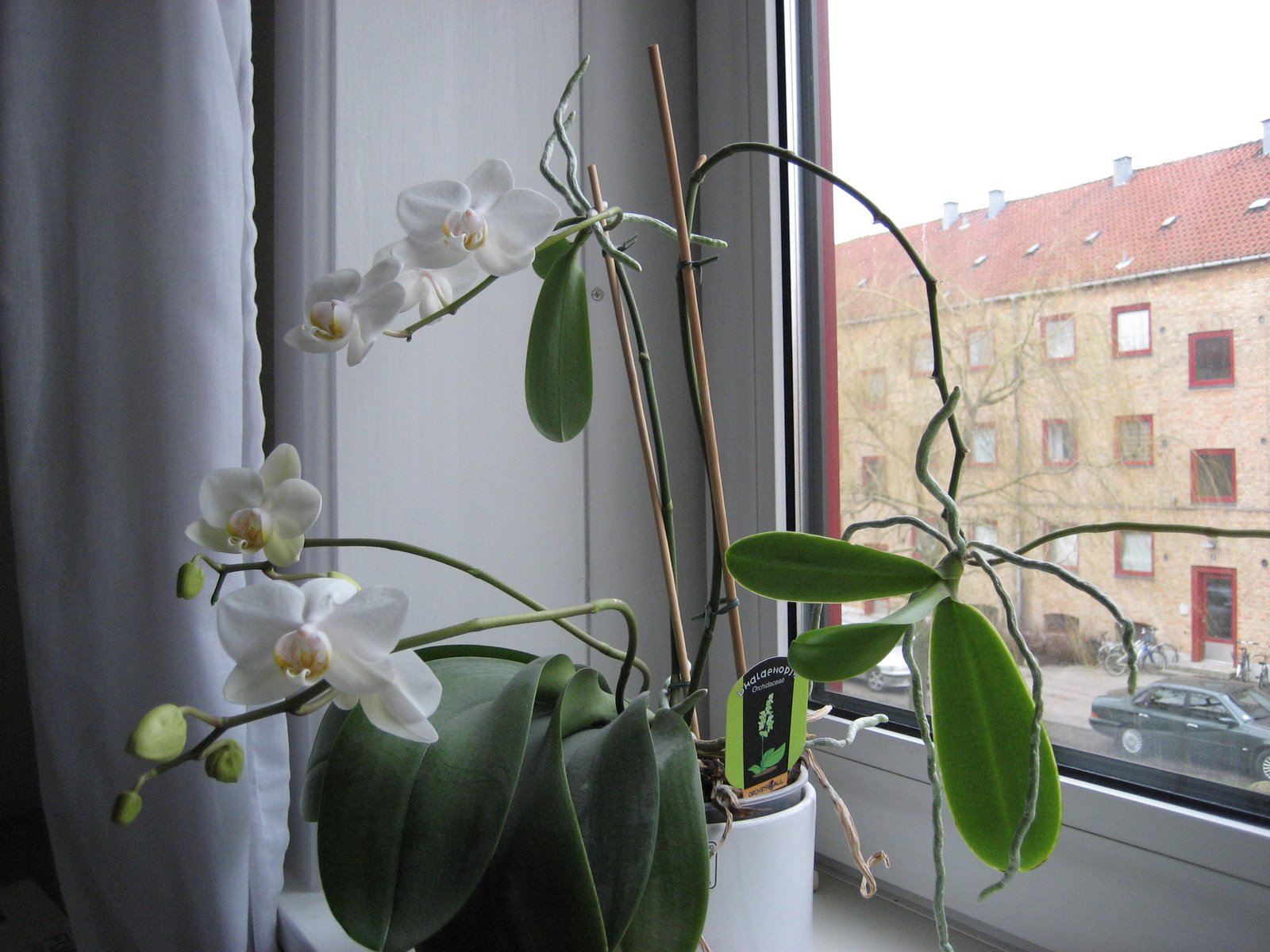 [IMG_0375.JPG]
