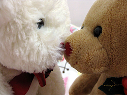 All You Need Is Love