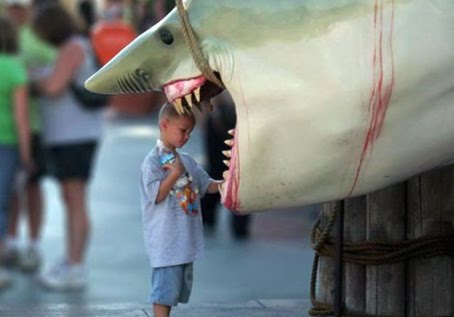 [shark.jpg]