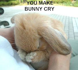 This is what are guy friends do to bunnies.