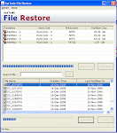 File Restore Tool