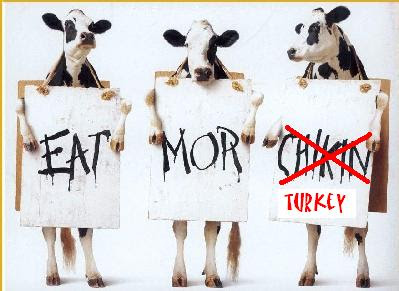 Eat More Cow
