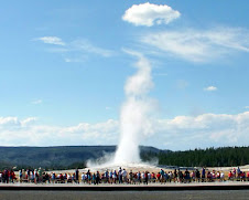 Géiser em "Erupção"