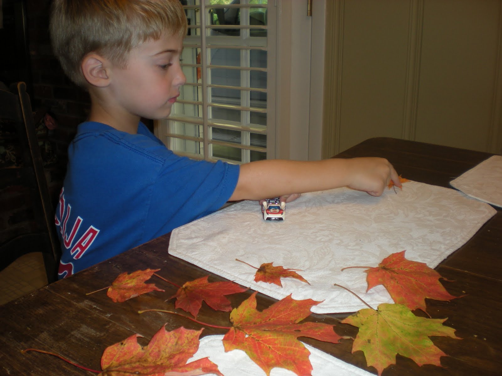 [October+2009+037.jpg]