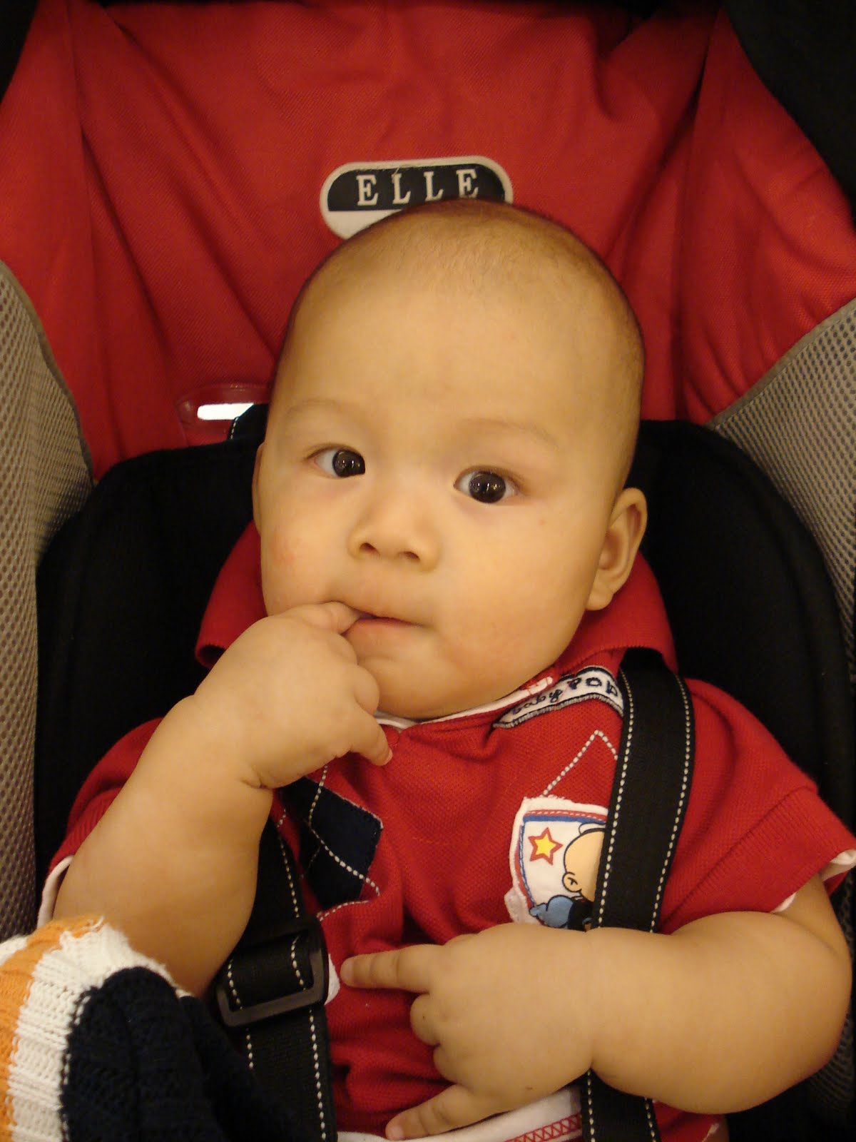[DSC02142.JPG]