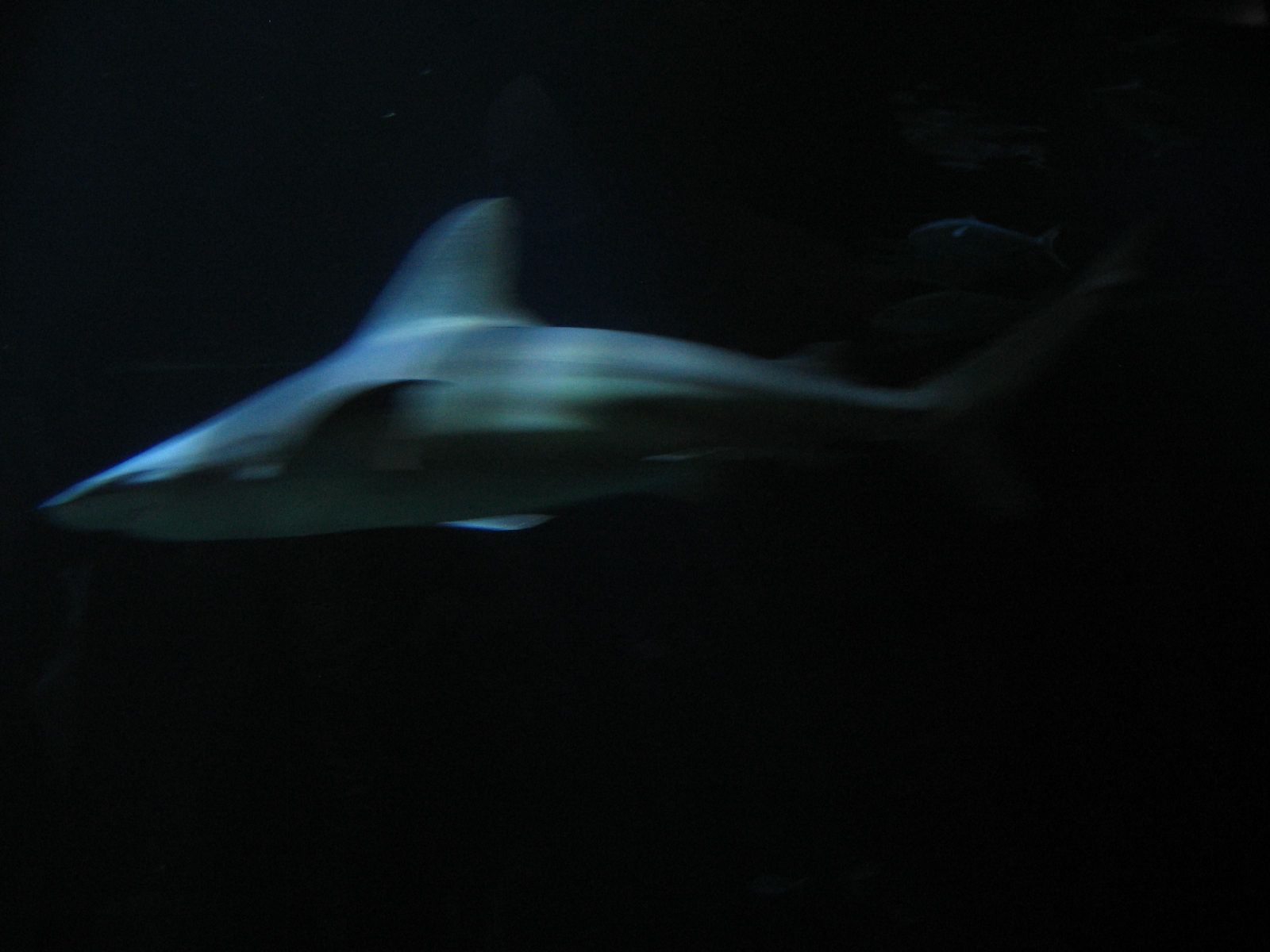 [IMG_7336.JPG]