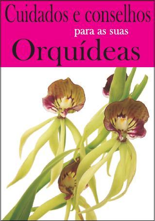 [cuidados_orquideas.jpg]