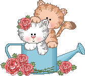 [cc5cat1.gif]