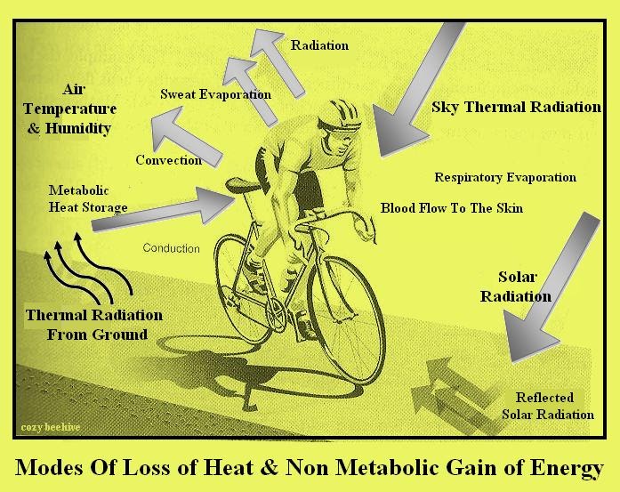 Cozy Beehive Cycling In Heat & Helmet Cooling Power
