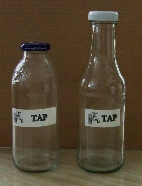 Green (Living) Review Upcycled “TAP” Bottle