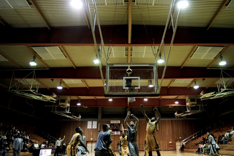 [seakingswebNC014.jpg]