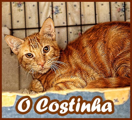 O Costinha!