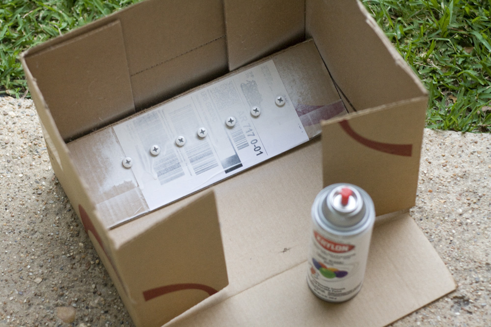 Lydia's Innovations and Just Plain Ordinary Ideas How to Paint Nuts