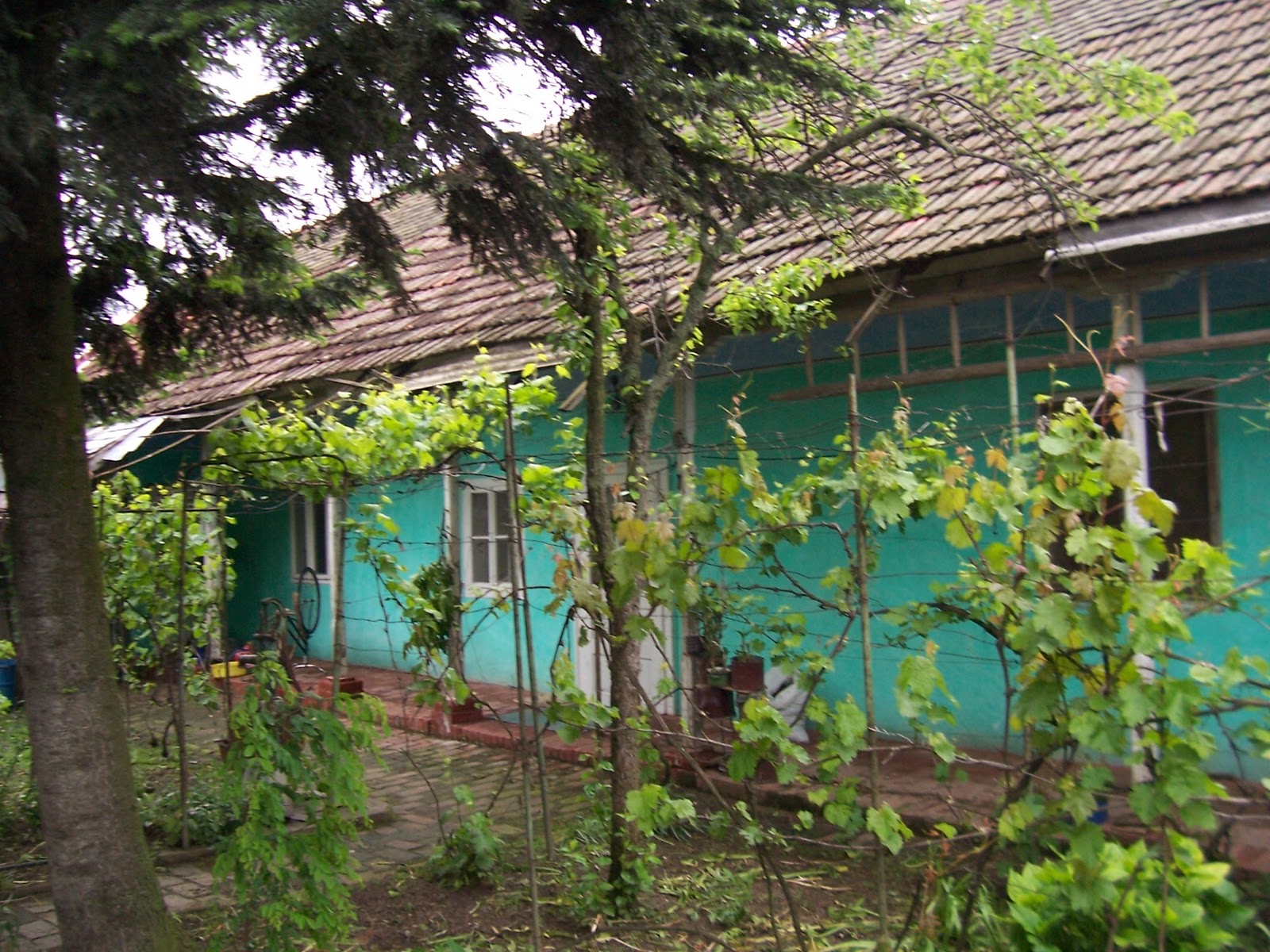 Carl Gibsons REISEBILDER - von Deutschland aus in die Welt: Menschen