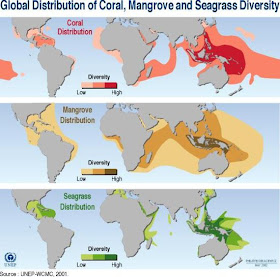 Stuffs And Hopes Mei 2009