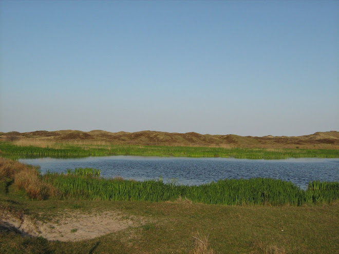 Texel, The Netherlands