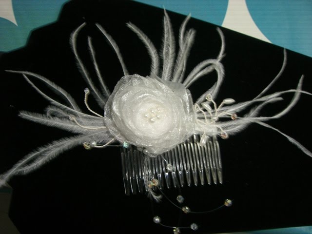 [CIMG8748.JPG]