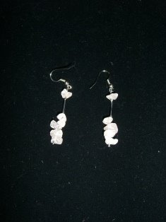 [CIMG3783.JPG]