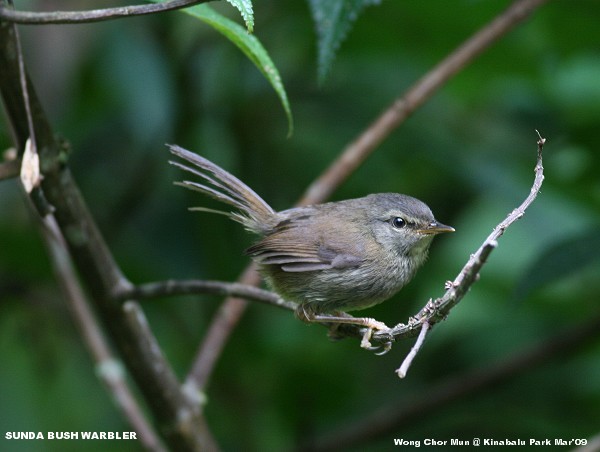 [IMG_4851-SMALL.jpg]