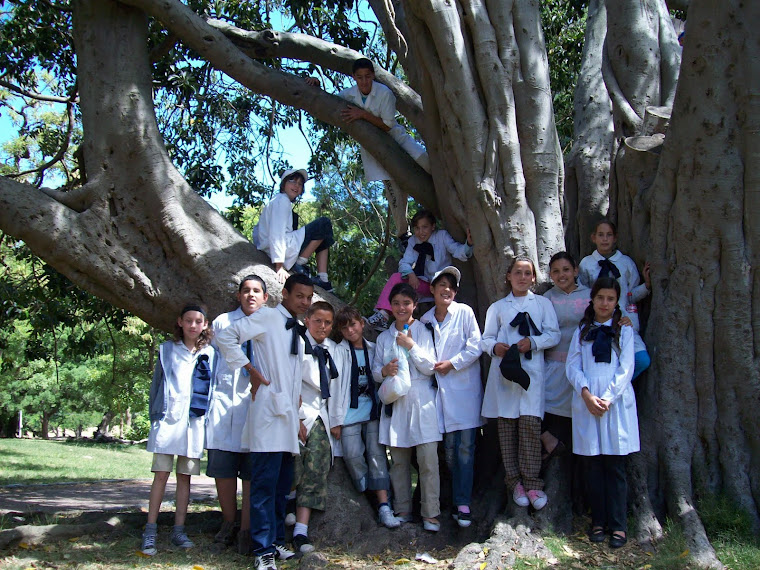 6º B -  2008