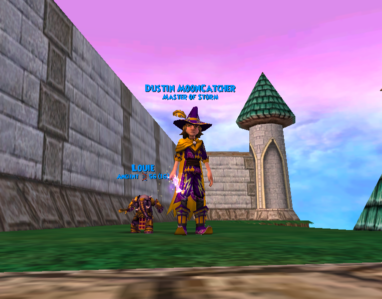 Wizard101 Information Dustin's Newest Robe and a Minotaur of Life!