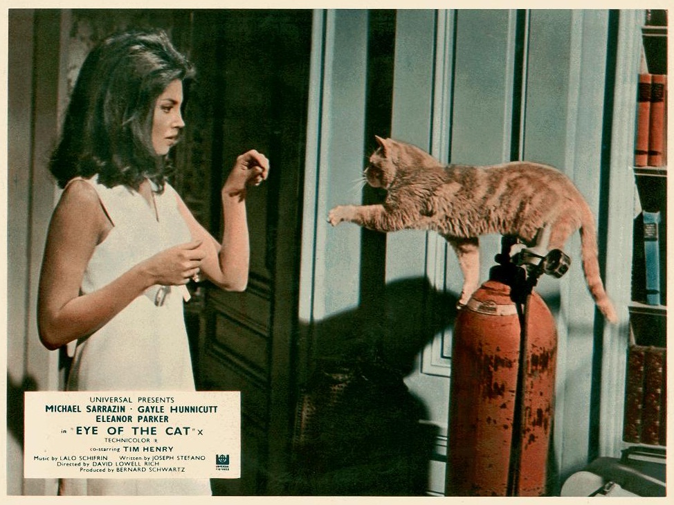 Image result for eye of the cat (1969)
