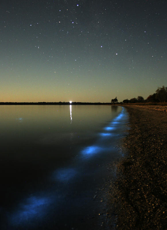 glowing algae lake