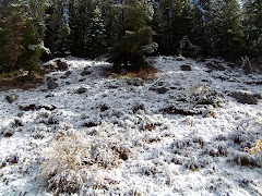 SNOW IN POWDER RIVER PASS