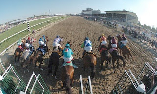 134th Preakness Stakes Betting Odds at BSNblog