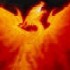 Suicidal Phoenix