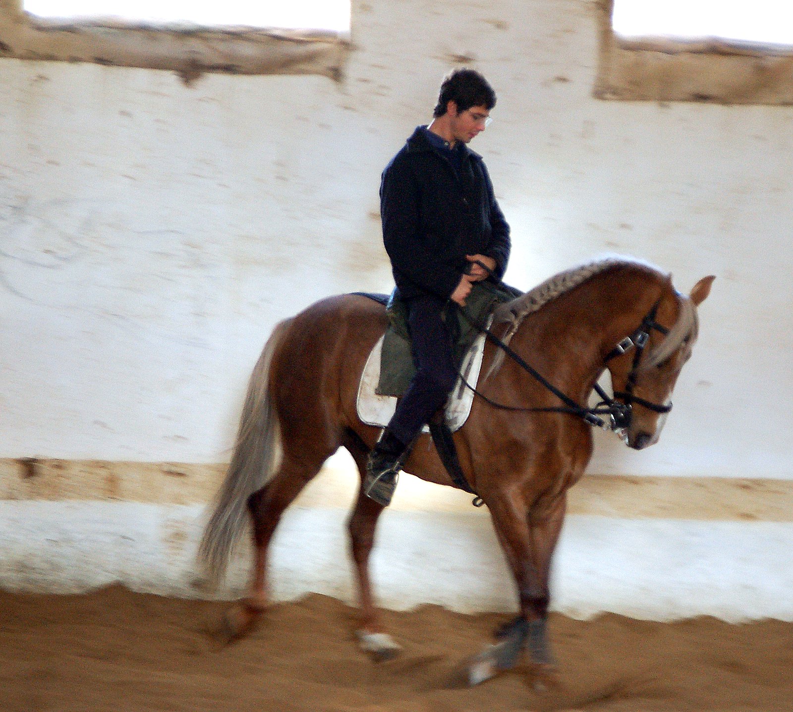 [DSC_2265.JPG]
