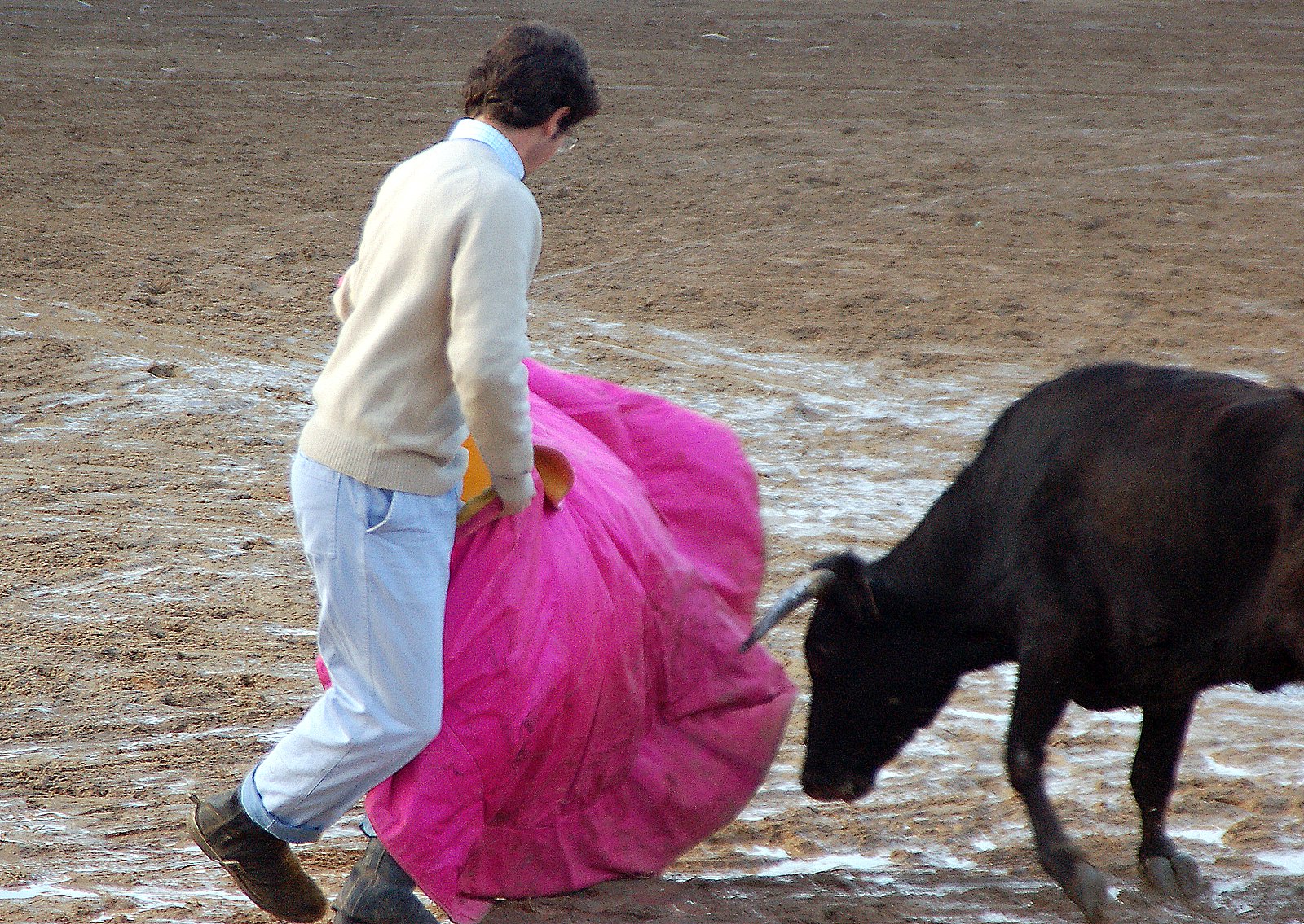 [DSC_2703.JPG]