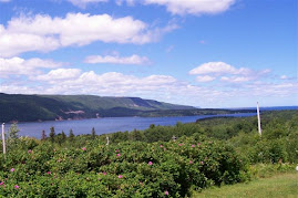 Front Yard, Big Bras d'Or