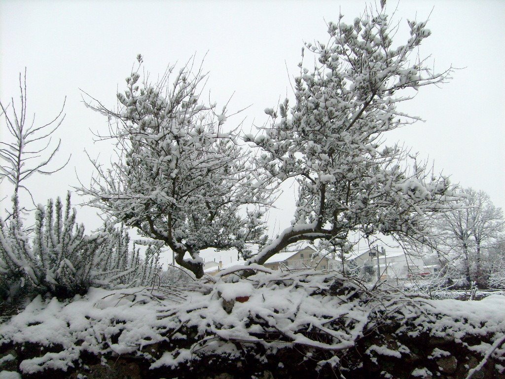 [Neve+234.jpg]