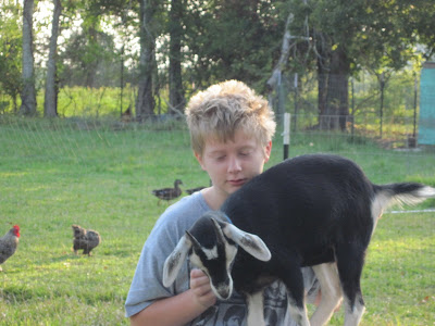 Goaty Girl