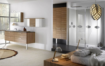INCREIBLES DISEÑOS DE BAÑOS POR DELPHA (FRANCIA) photo dise%C3%B1o ba%C3%B1o moderno 6 INCREIBLES DISEÑOS DE BAÑOS POR DELPHA (FRANCIA)