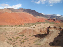 Quebrada de las Conchas
