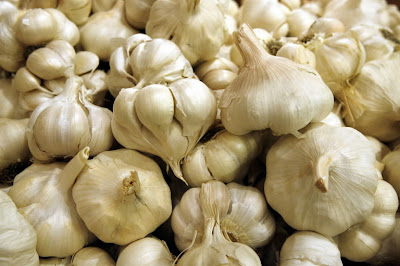 الثوم أفضل مضاد حيوي عبر التاريخ  Garlic+77