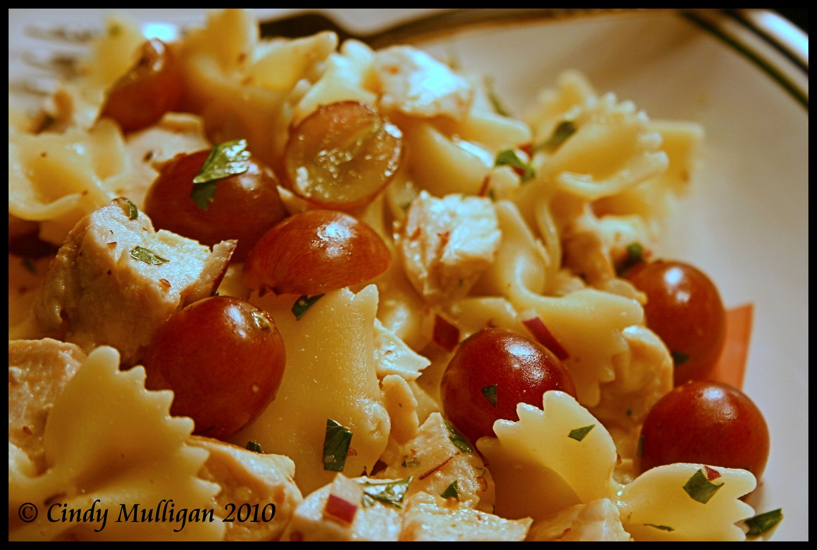 Gumbo Ya Ya Roasted Chicken & Bow Tie Pasta Salad