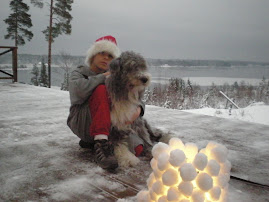 SNOW IN  SODERHAMN - DECEMBER 2008.