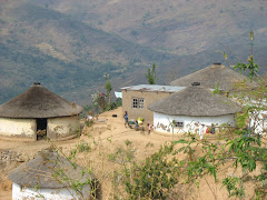 ZULU HOMESTEAD