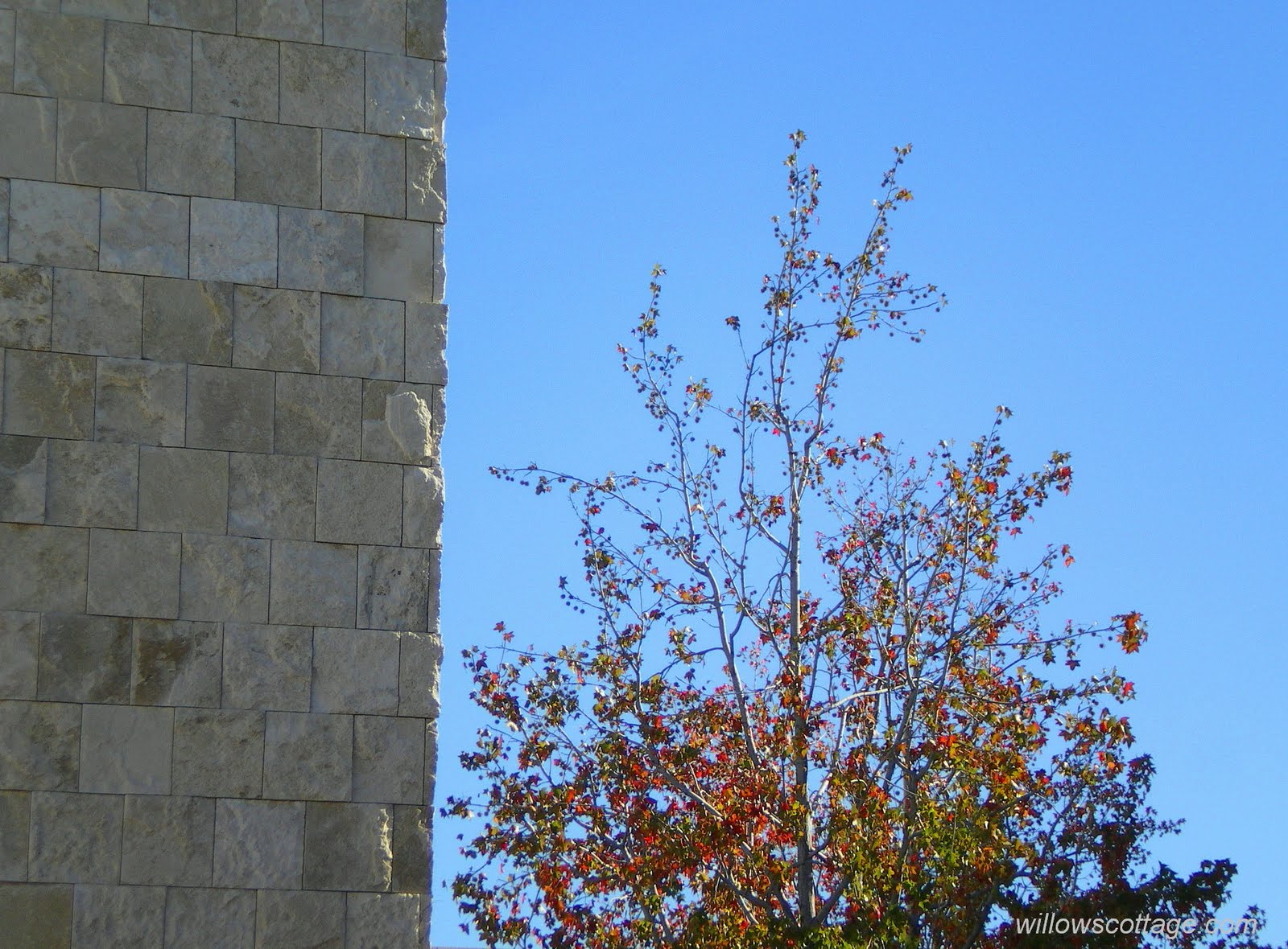 [Getty+Museum+Architecture3crsig.jpg]