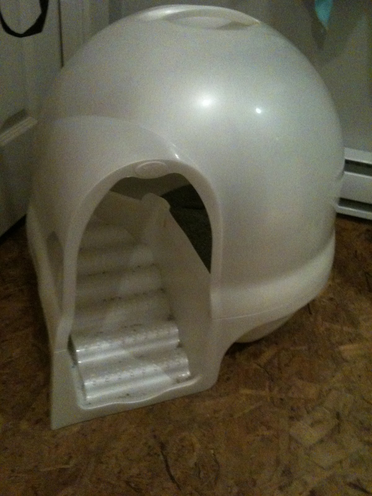 Dome Cat House Photos All