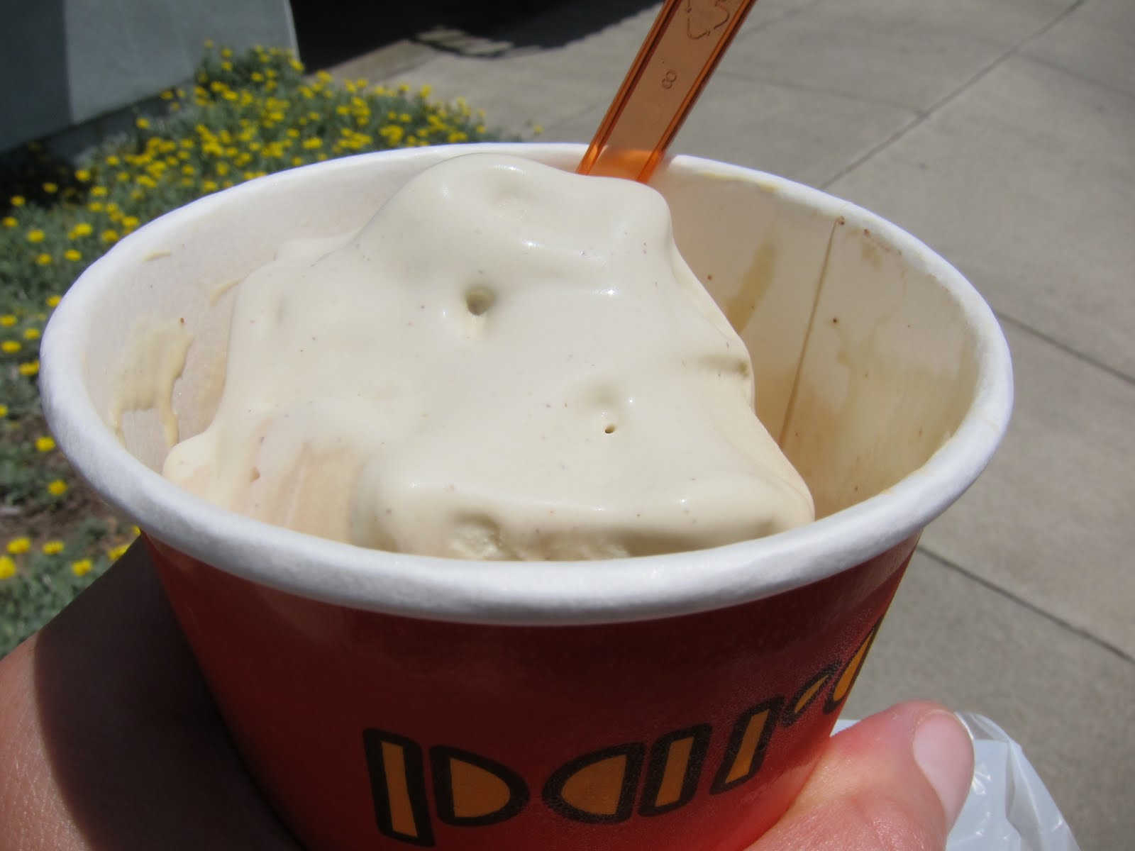 Banana Wonder Fresh Ice Cream in Paradi err I mean Montrose