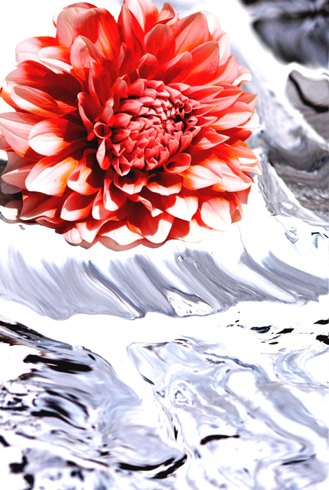 Emphasis Element Of Design : Don t even ask principles of design emphasis