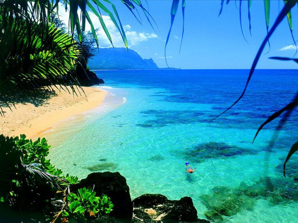 [hawai.jpg]