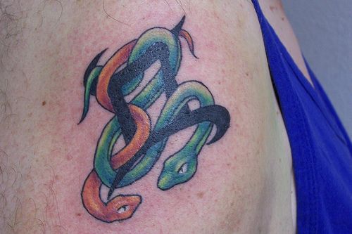 [snake30.jpg]
