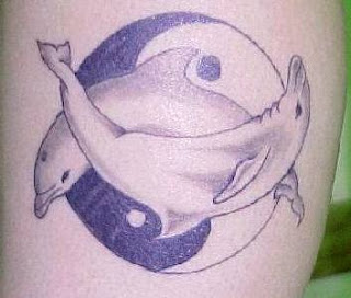golfinho e o simbolo yang e yin