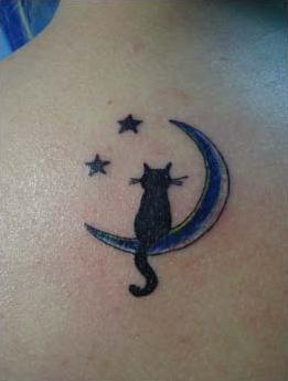 [lua_gato.jpg]